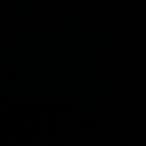 Meet your Posher, Jehvion