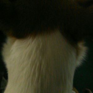 Meet your Posher, Caleb