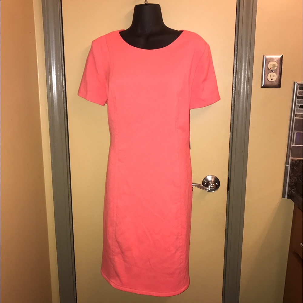 Vince Camuto dress size 14