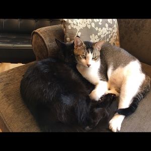 Meet your Posher, Lynn