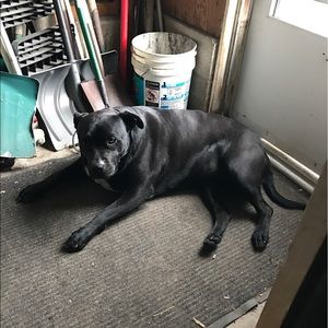 Meet your Posher, Edwin