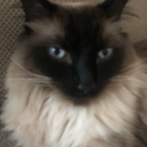 Meet your Posher, Suzanne