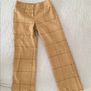 Ann Taylor Loft Dress Pants