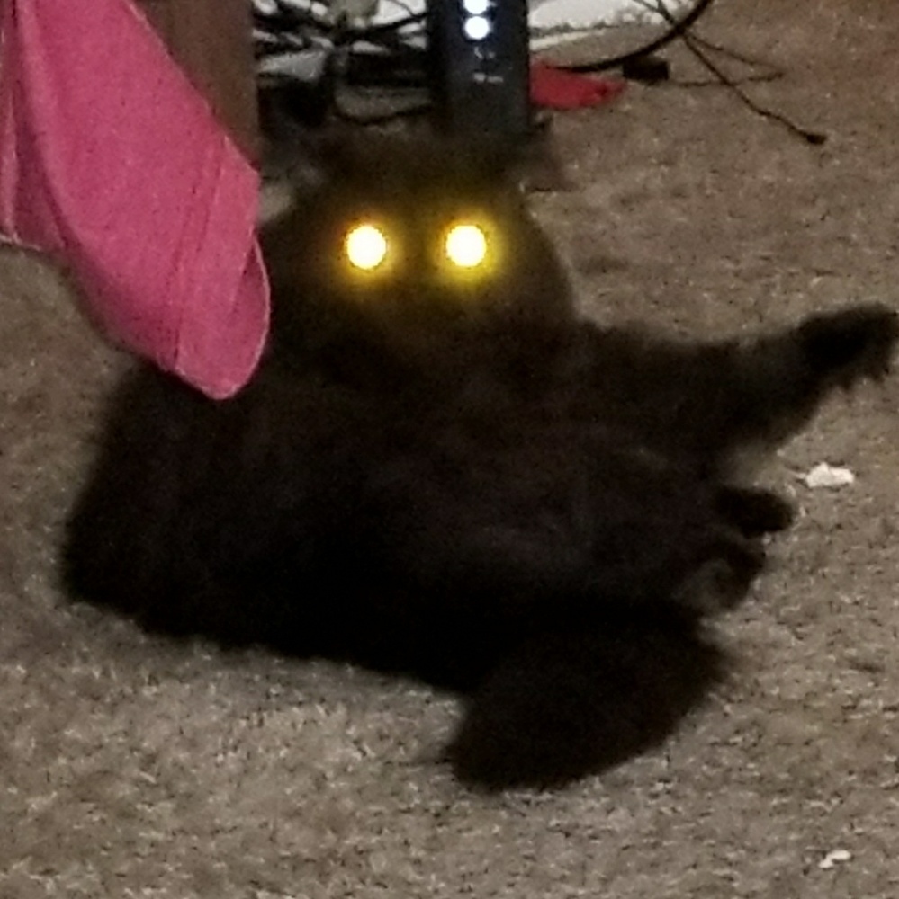 Meet your Posher, Ness