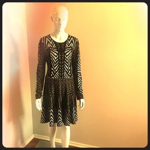 BCBGMaxAzria Geometric Sweater Dress & Tunic