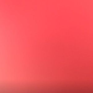 Meet your Posher, Ebony