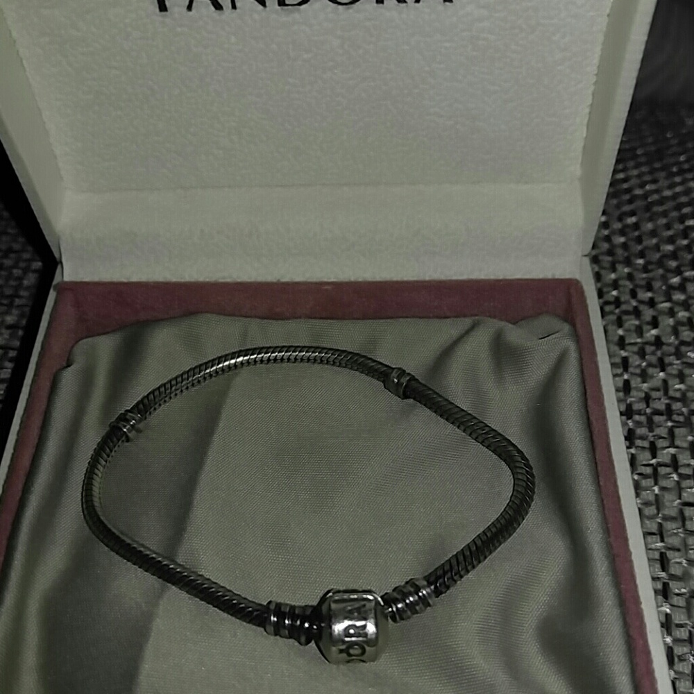 Pandora Silver Charm Bracelet