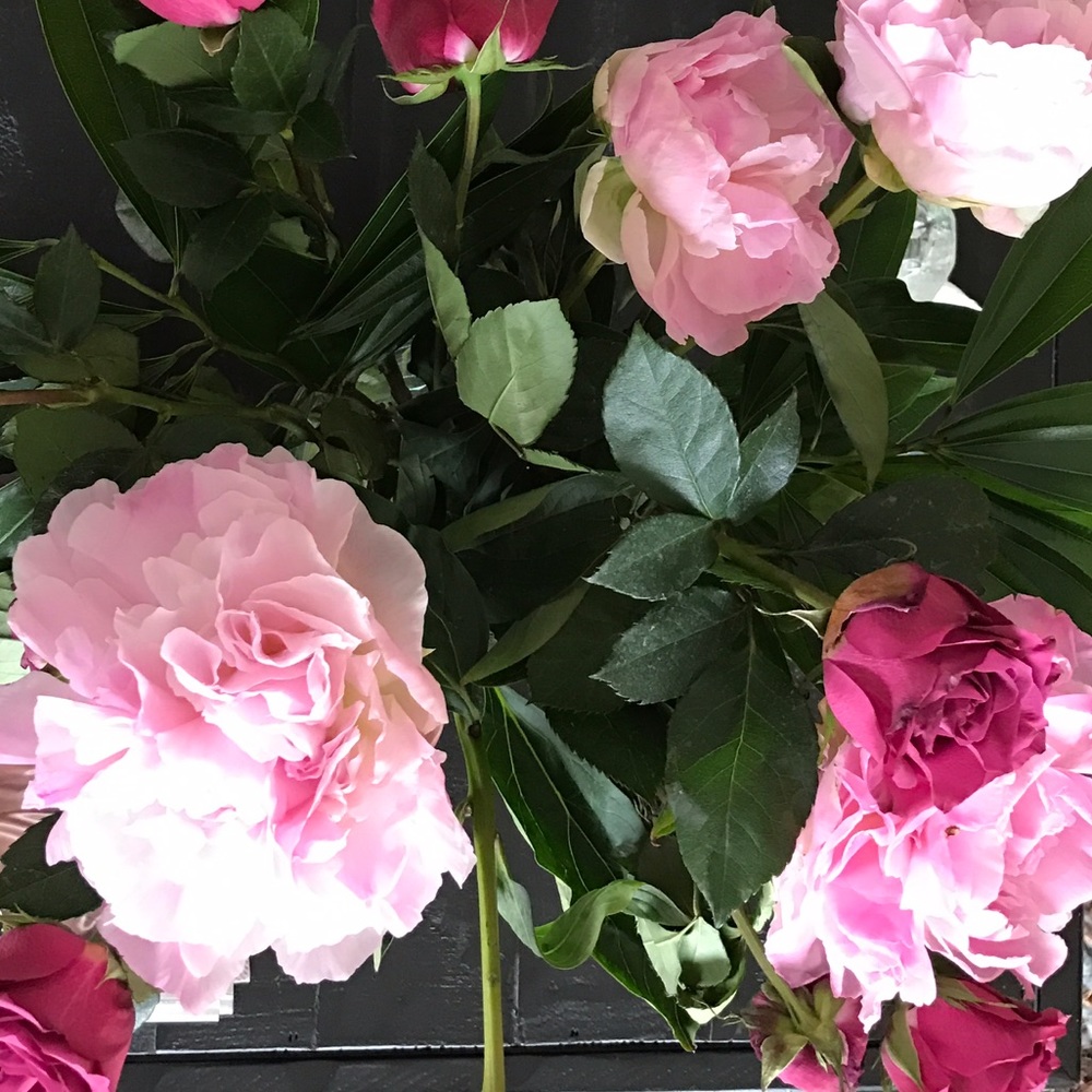 Meet your Posher, Mahsa