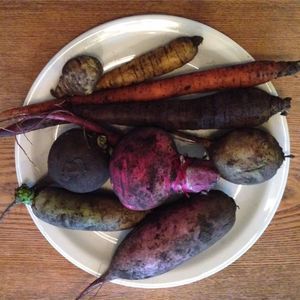 Meet your Posher, Netaya