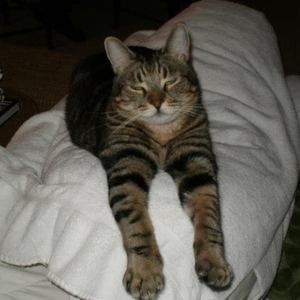 Meet your Posher, Teddy