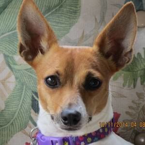 Meet your Posher, Edie