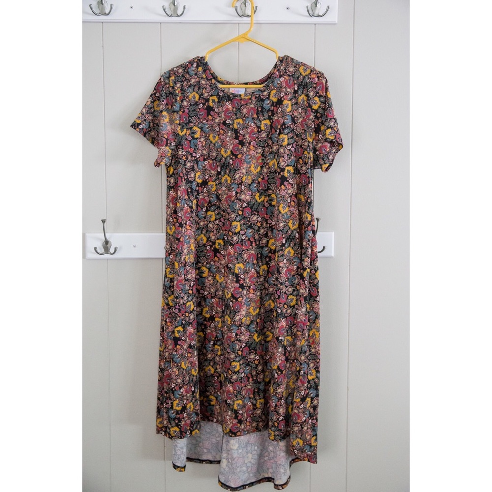 LuLaRoe Carly Dress