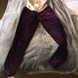 Maternity Pants