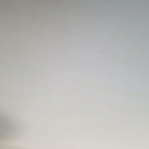 Meet your Posher, Natasha