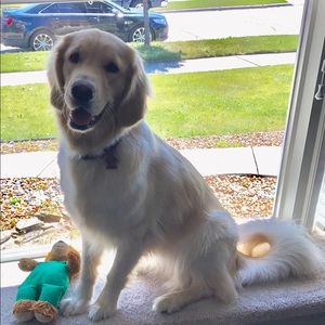 Meet your Posher, Matt