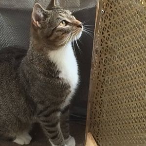 Meet your Posher, Debbie