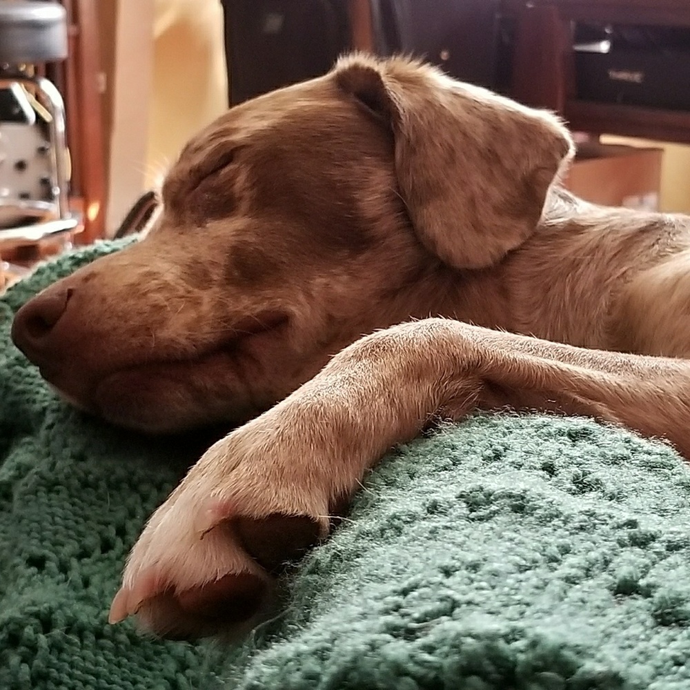 Meet Yo Kickass Posher - Edward