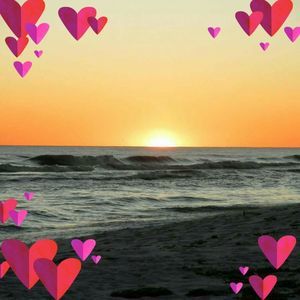 Meet your Posher, Martha