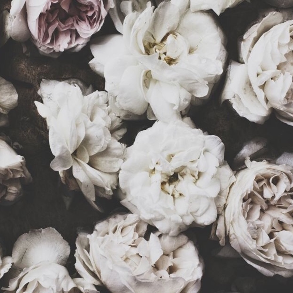 Meet your Posher, Christine