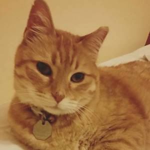 Meet your Posher, Linda