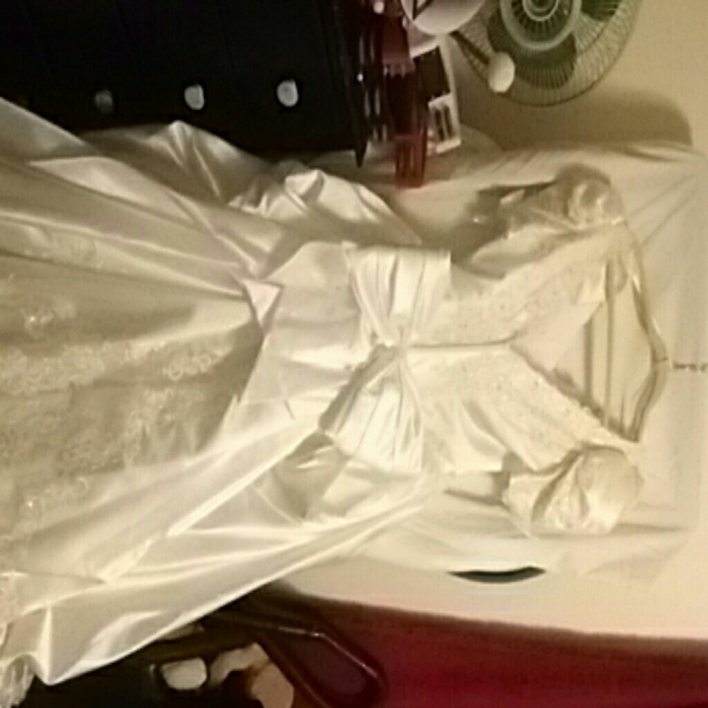 Wedding Gown - Picture 3 of 6