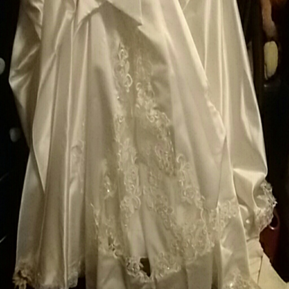 Wedding Gown - Picture 4 of 6