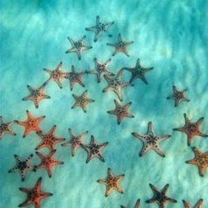 NEW ACCOUNT .. was previously KRISTYEL