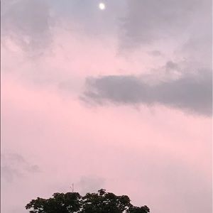 Meet your Posher, Hazel