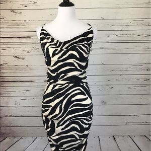 🆕 Victoria's Secret Animal Print Dress 🦓