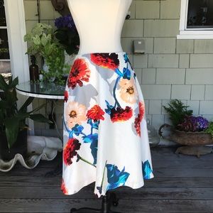 Banana Republic Gerber Midi skirt