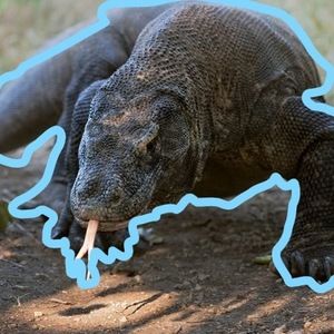 Meet your Posher, Leah