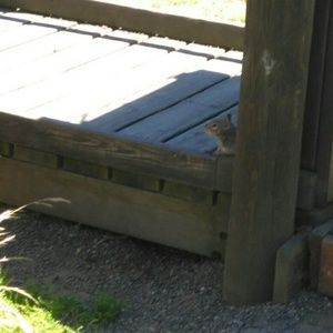 Meet your Posher, Russell