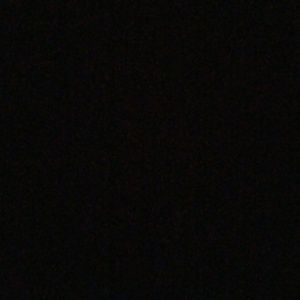 Meet your Posher, Tj