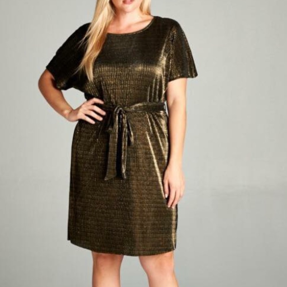 Women's Plus Size Gold Tone Dress