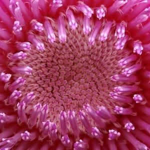 Meet your Posher, Deena