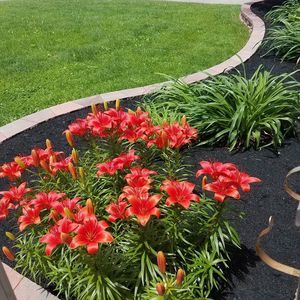 Meet your Posher, Michele