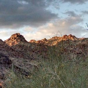 Meet your Posher, Barbara