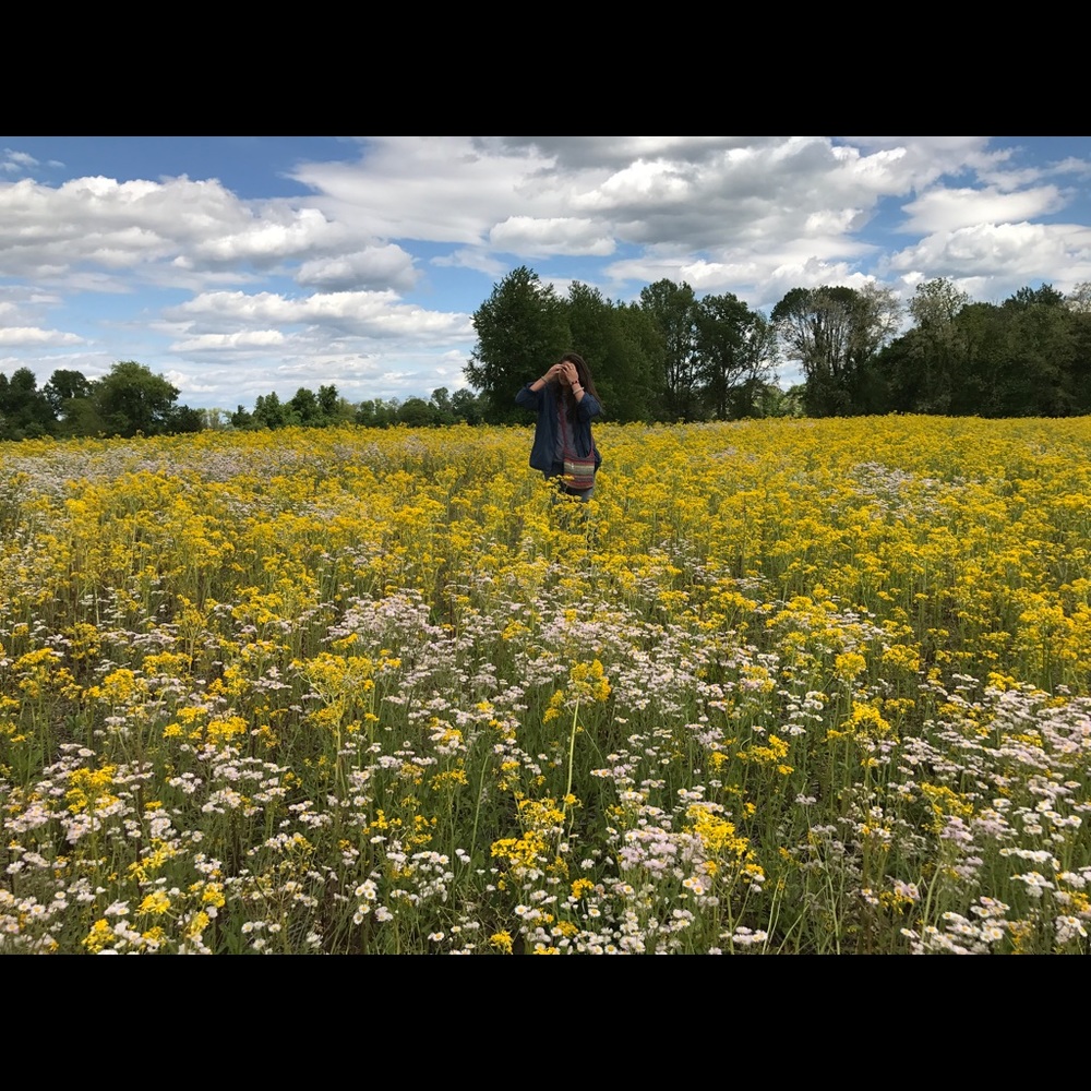 Meet your Posher, Addy