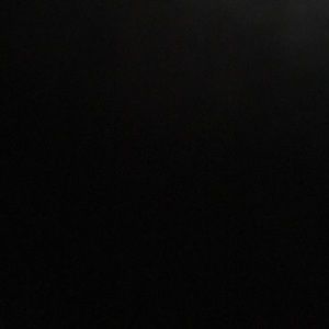 Meet your Posher, Jayla