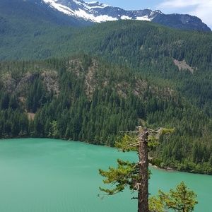 Meet your Posher, Jodi