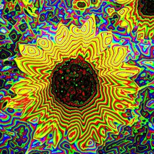 Meet your Posher, Christy