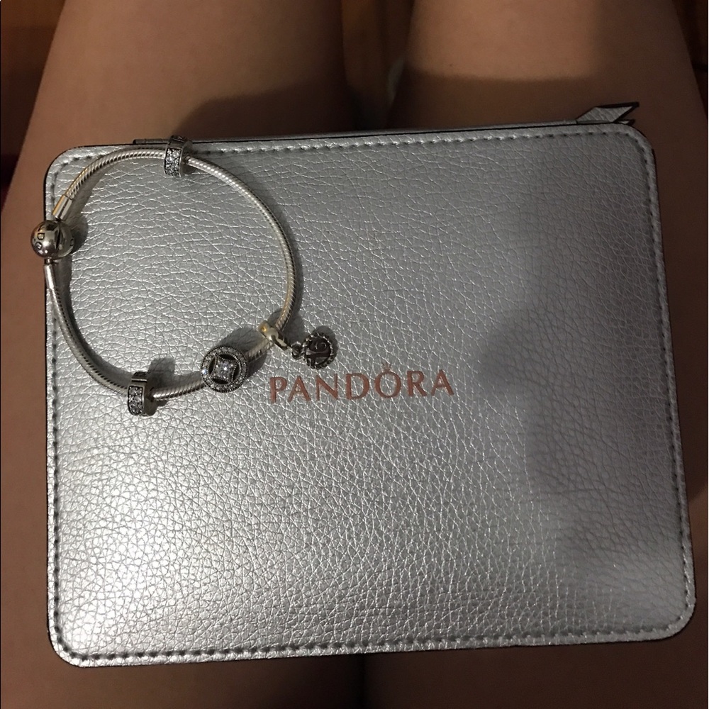 Winter Collection Pandora Bracelet ❄️