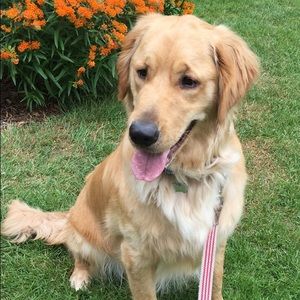 Meet your Posher, Eileen