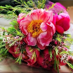 Meet your Posher, Qing