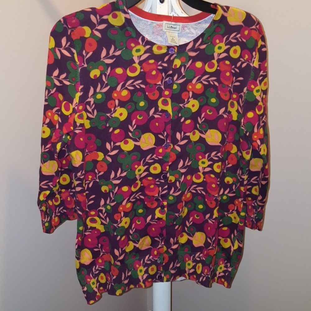 SOLD.     L.L.BEAN Cardigan Fall Sweater