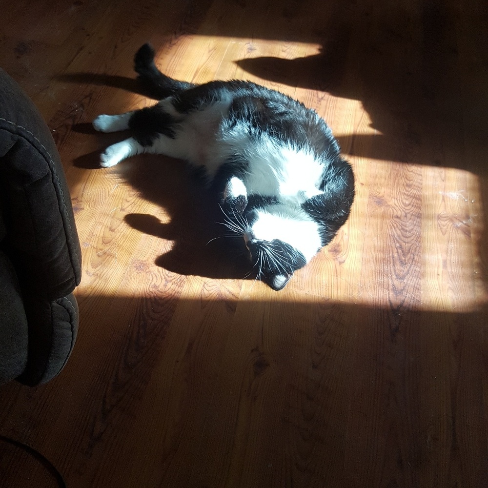 Meet your Posher, Aaron