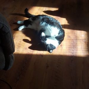 Meet your Posher, Aaron