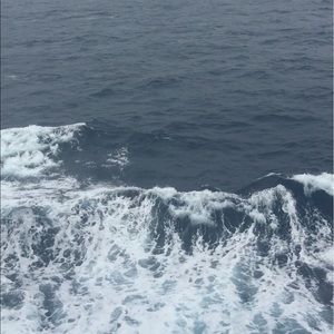 Meet your Posher, Jeffie