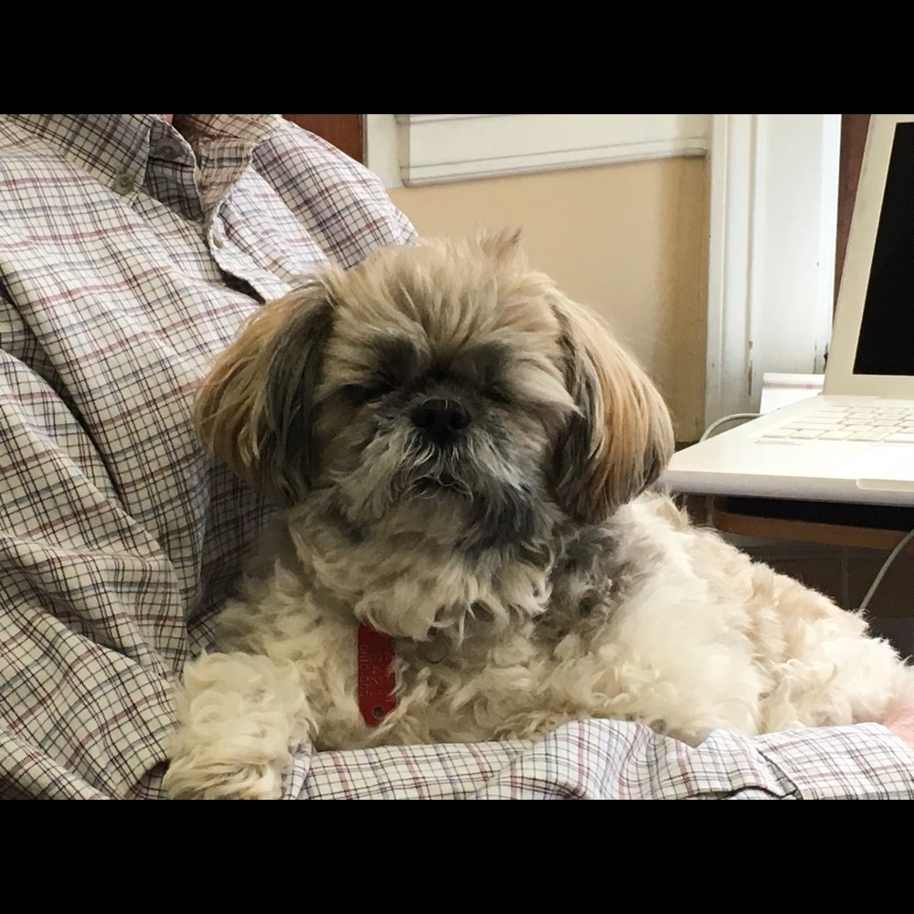 Meet your Posher, Patricia