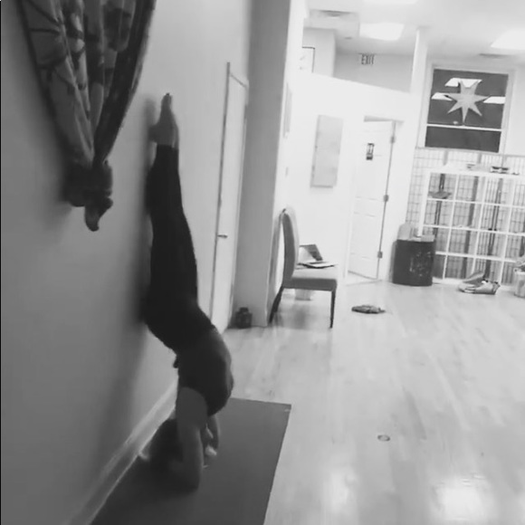 Welcome 🐰 - Picture 4 of 7